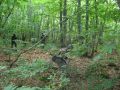 journee du 14 septembre (40) (640x480.jpg